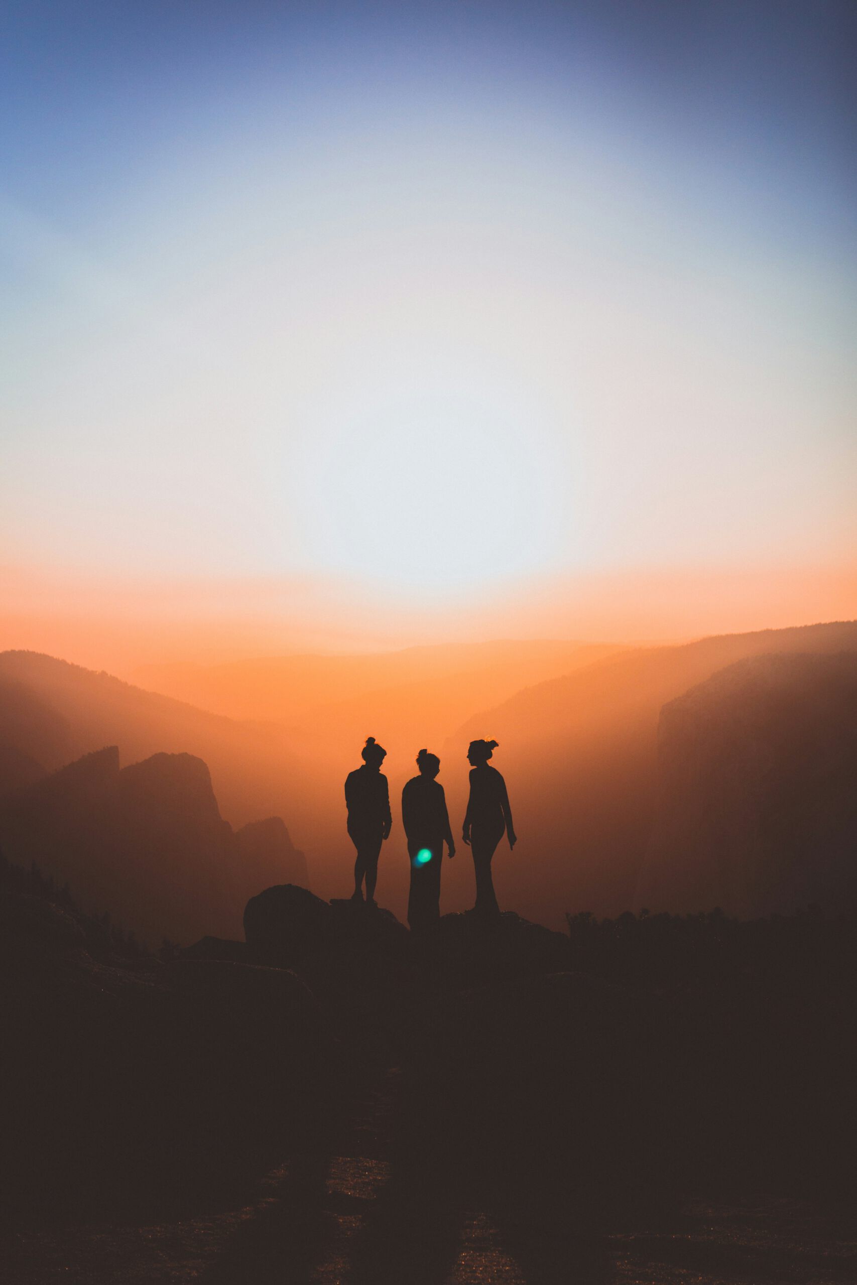 karl-magnuson-MvxMvPO3S1M-unsplash